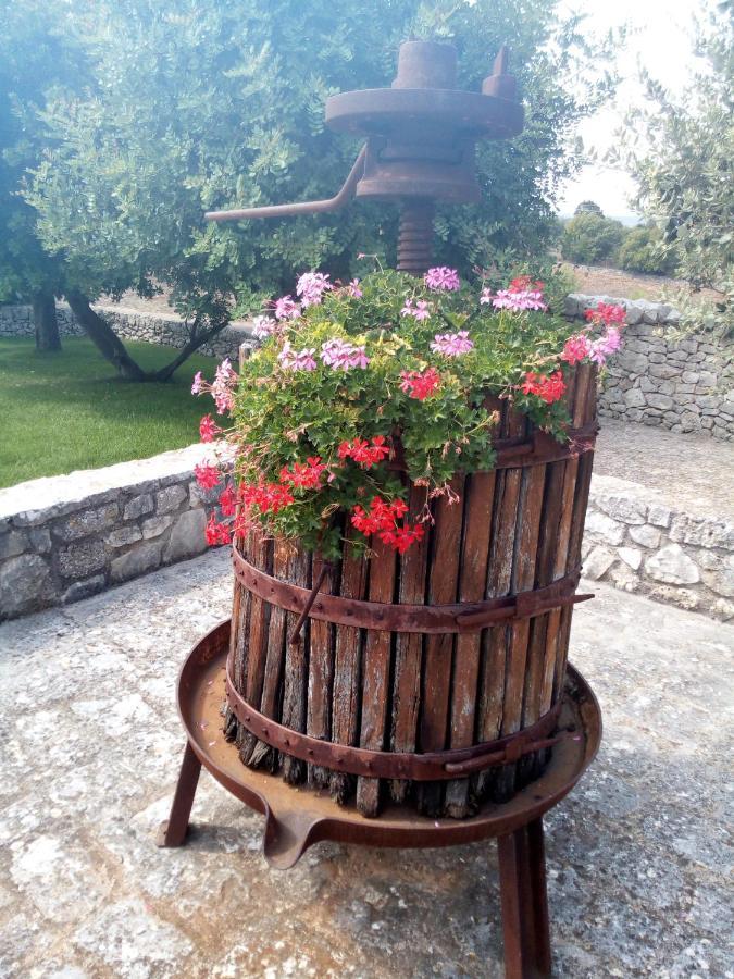 Farm stay Masseria Cappuccini
